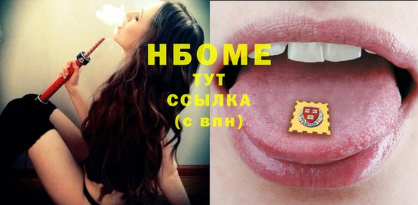 хмурый Белокуриха