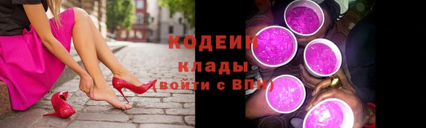 хмурый Белокуриха