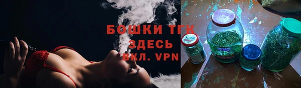 хмурый Белокуриха