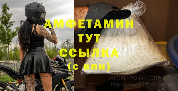 хмурый Белокуриха