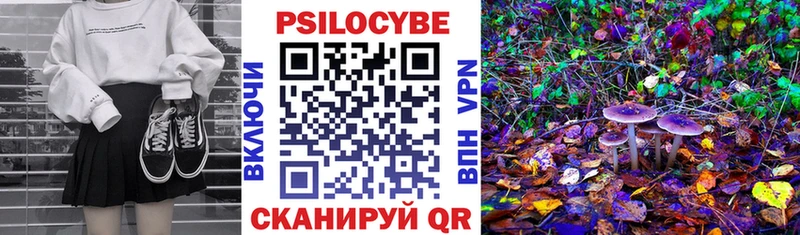 Псилоцибиновые грибы Cubensis Кондрово